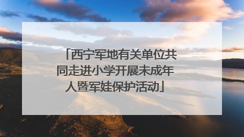 西宁军地有关单位共同走进小学开展未成年人暨军娃保护活动